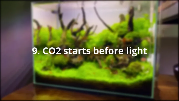 Maintain Consistent 8-Hour Photoperiod