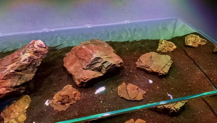 Eliminate Dead Spots in Aquascape