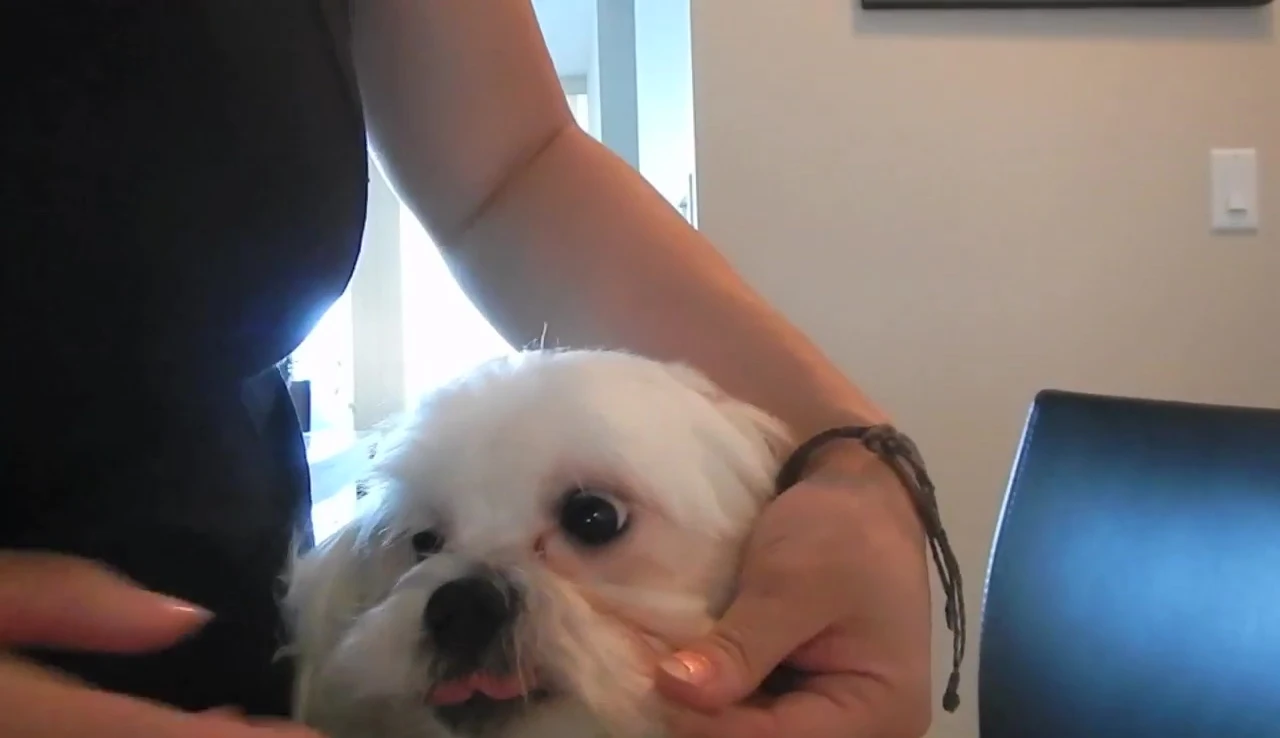 Yumi looking at the camera
