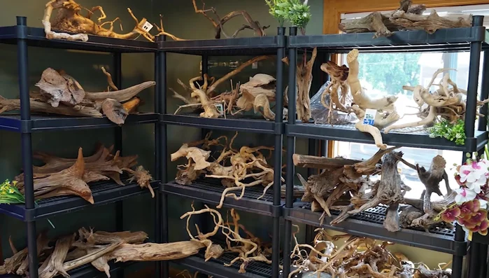 Choose suitable aquarium wood. A wide selection (spider wood, dragon wood, Malaysian driftwood, etc.) allows for customization of the tank's aesthetic.