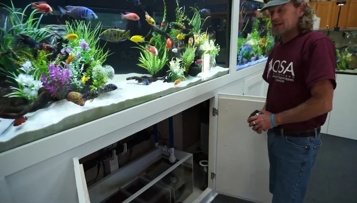 Utilize biological filtration within the sump. This involves filling the sump with lava rock to support beneficial bacteria growth.