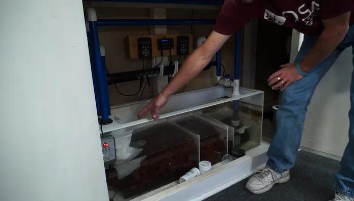 Change filter socks weekly. These catch large debris, significantly reducing maintenance compared to canister filter cleaning.