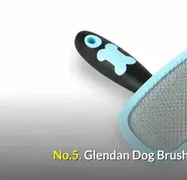 Best Cat & Dog Brushes for Shedding: A Detailed Review