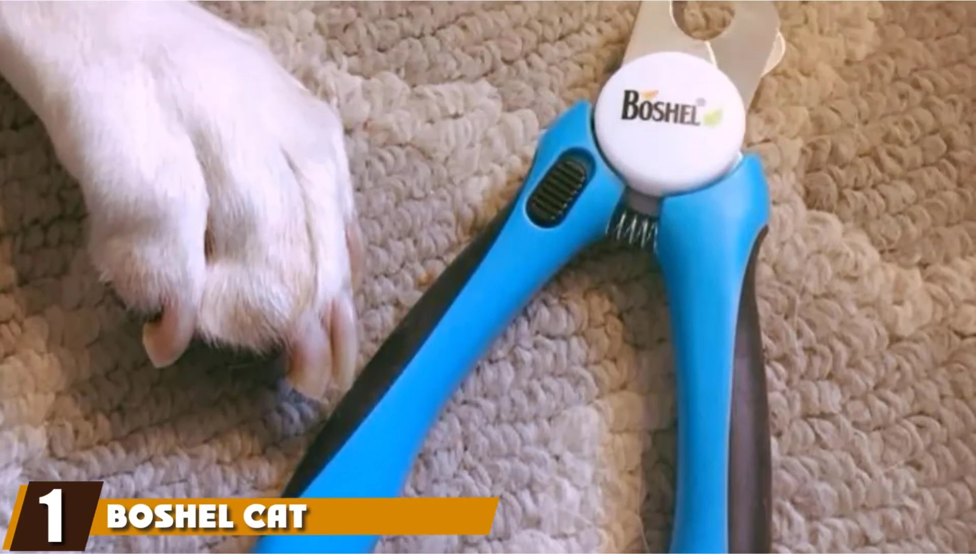 Close-up of the Bottle Cat Nail Clippers