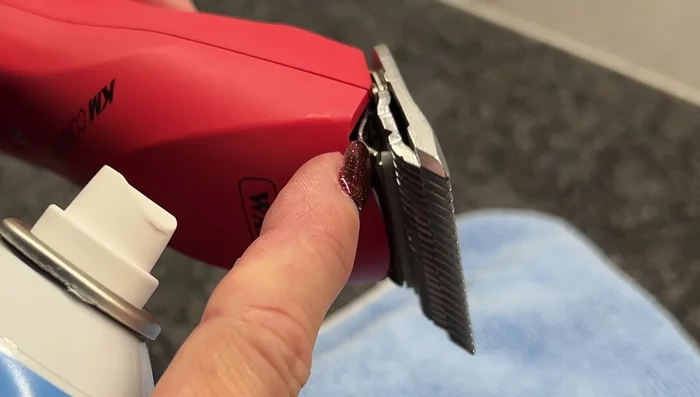 For crusty blades, spray Andis Cool Care onto the teeth, let it sit for a minute, then wipe clean.