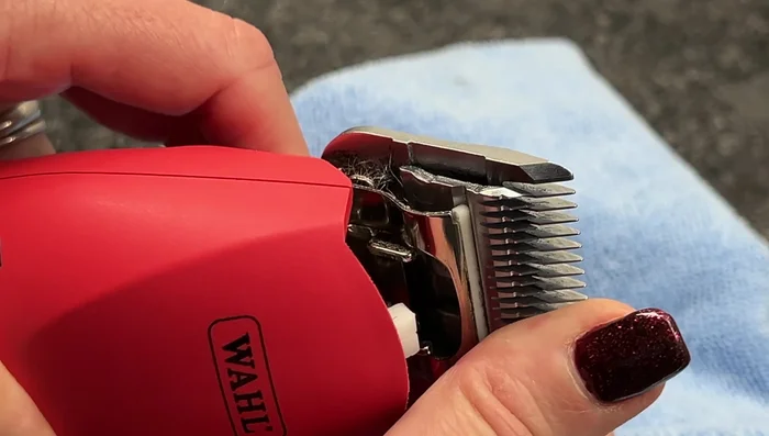 Remove the blade by pressing the blade hinge and pushing forward.