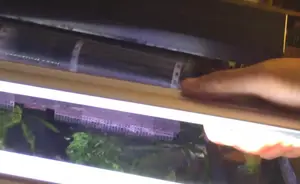 Finnex LED Aquarium Lights: A Comprehensive Review & Comparison