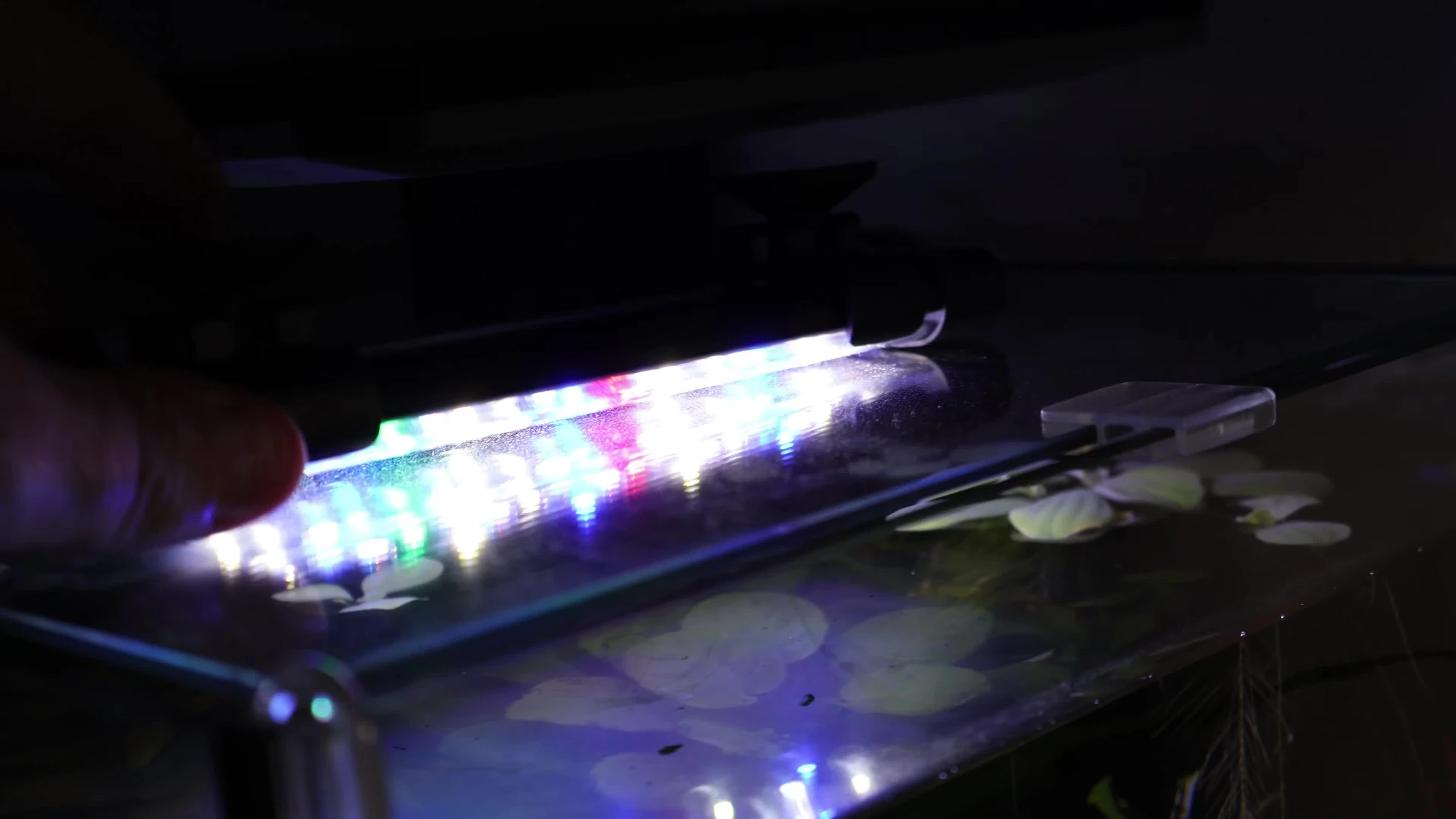 The light is displayed next to the aquarium for size comparison