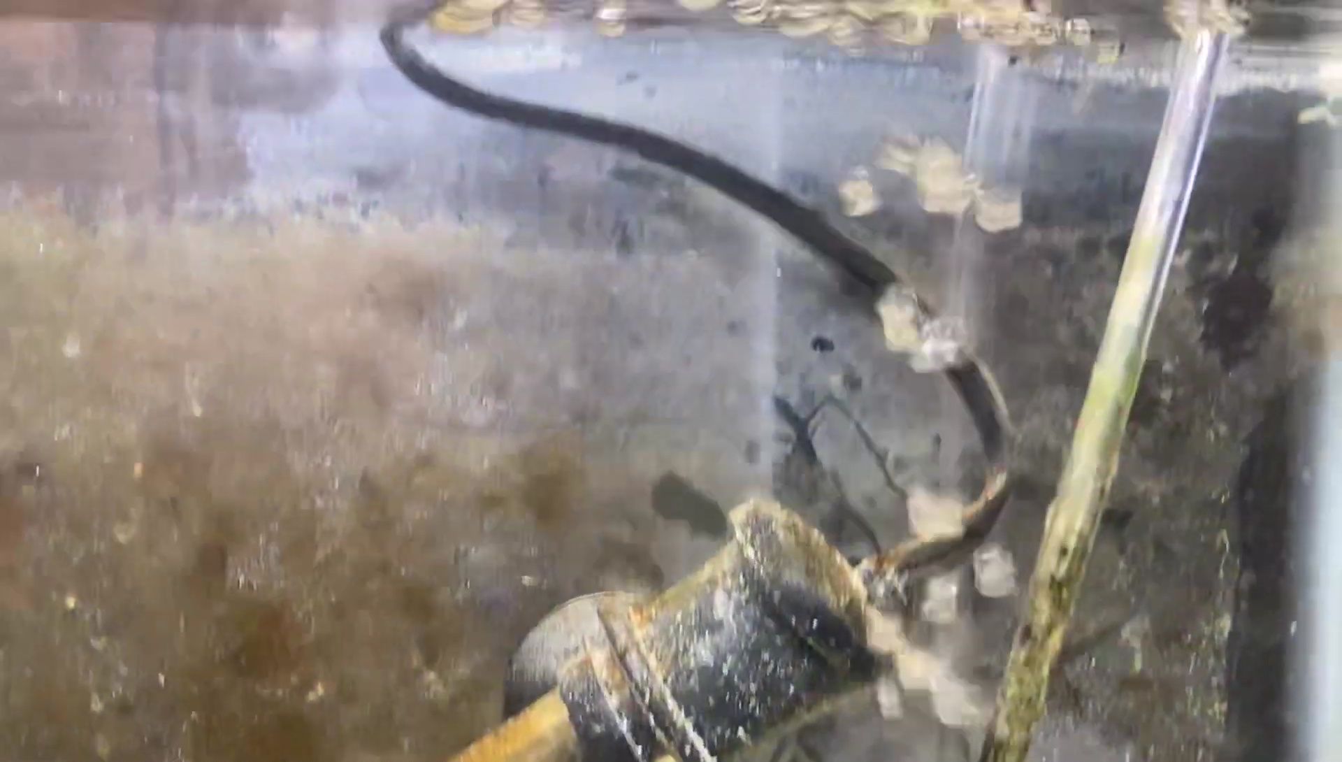 The filter in action, showcasing water movement