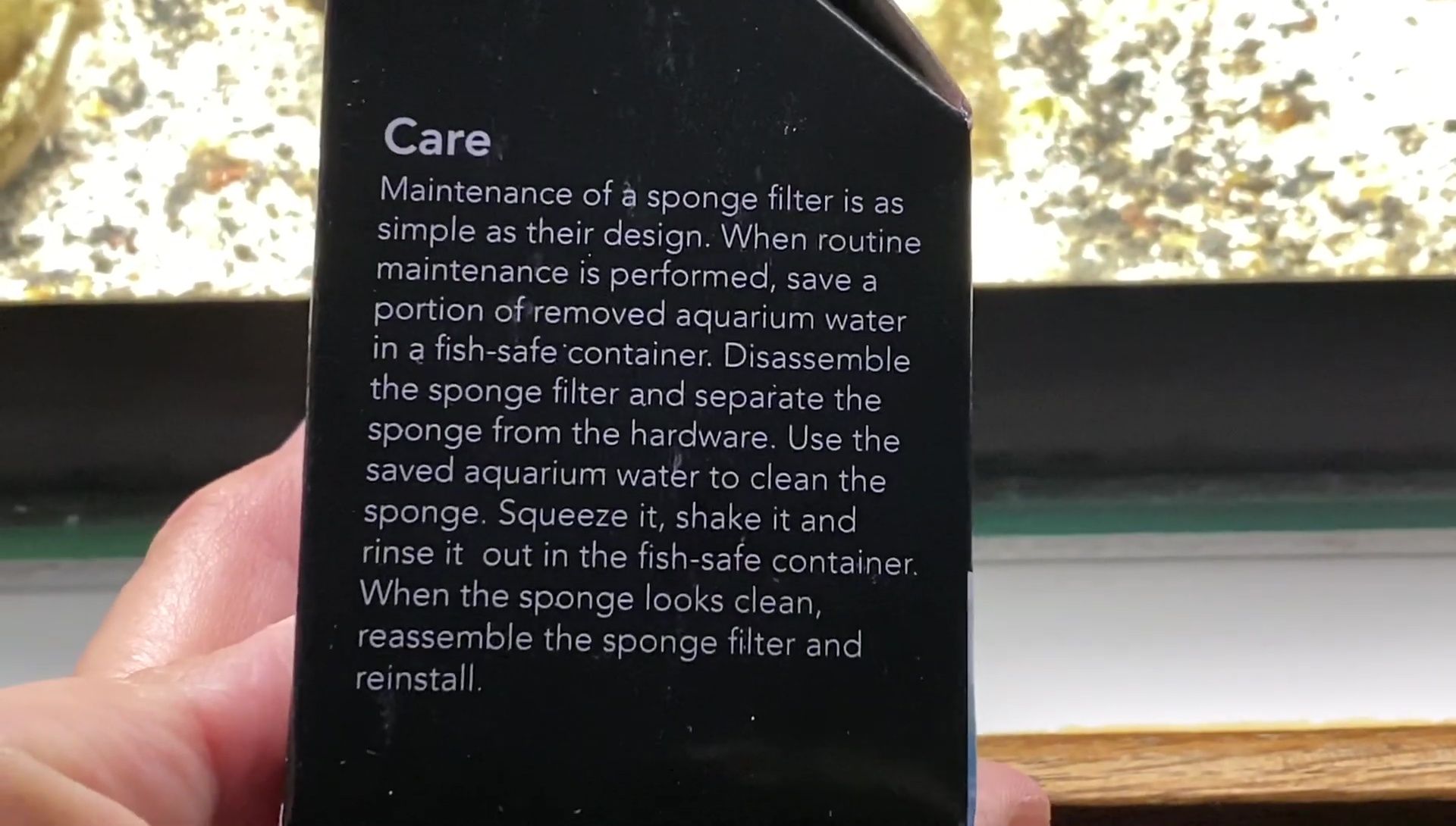 Demonstrating how to clean the filter sponge