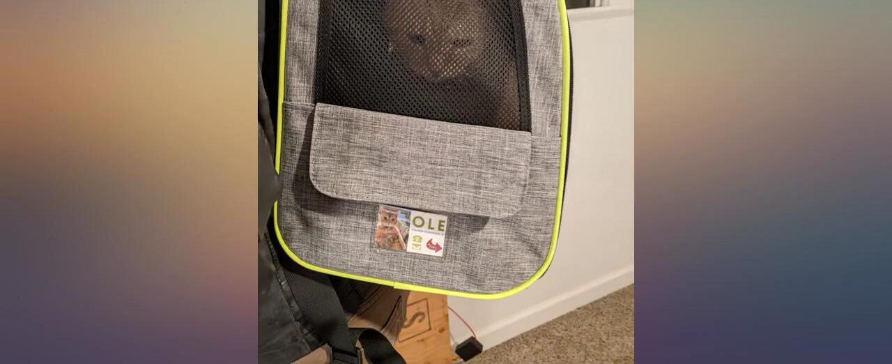 Side pocket of the backpack