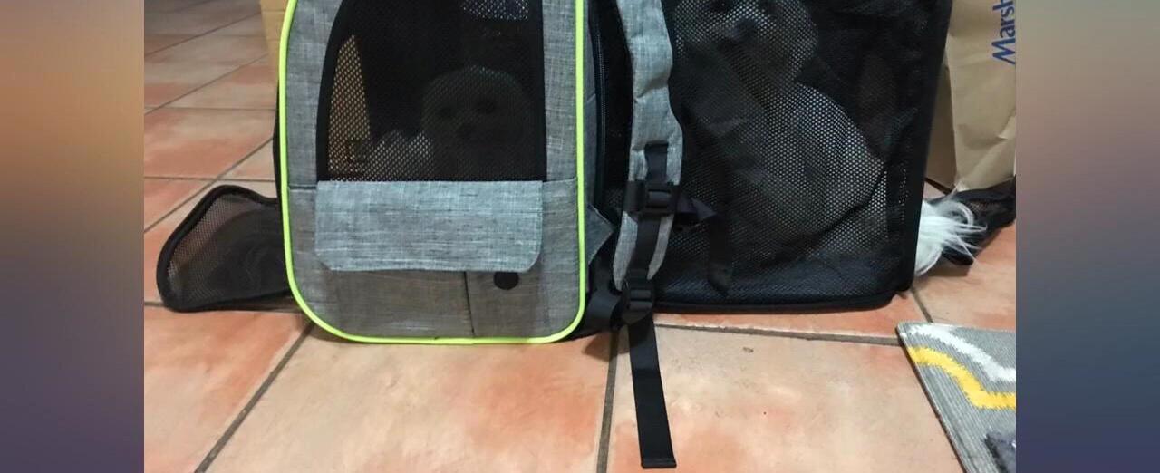 Condition of backpack after 8 months of use