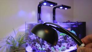 Top 5 Budget Nano Reef LEDs for Coral Growth