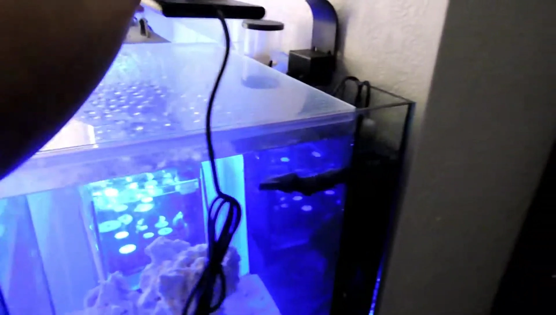 The Current Orbit LED mounted on the aquarium.
