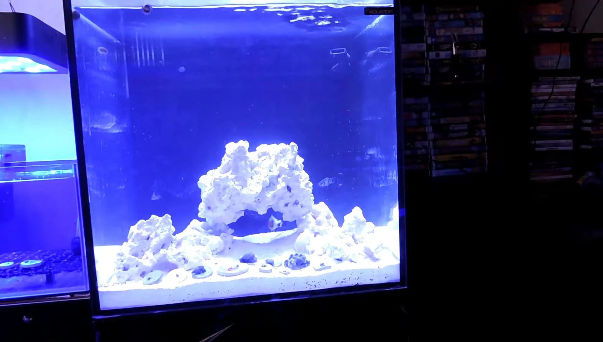 Final shot of the aquarium after the water change and light installation.
