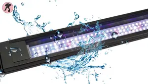 7 Best LED Lights for Planted Aquariums: A Comprehensive Review
