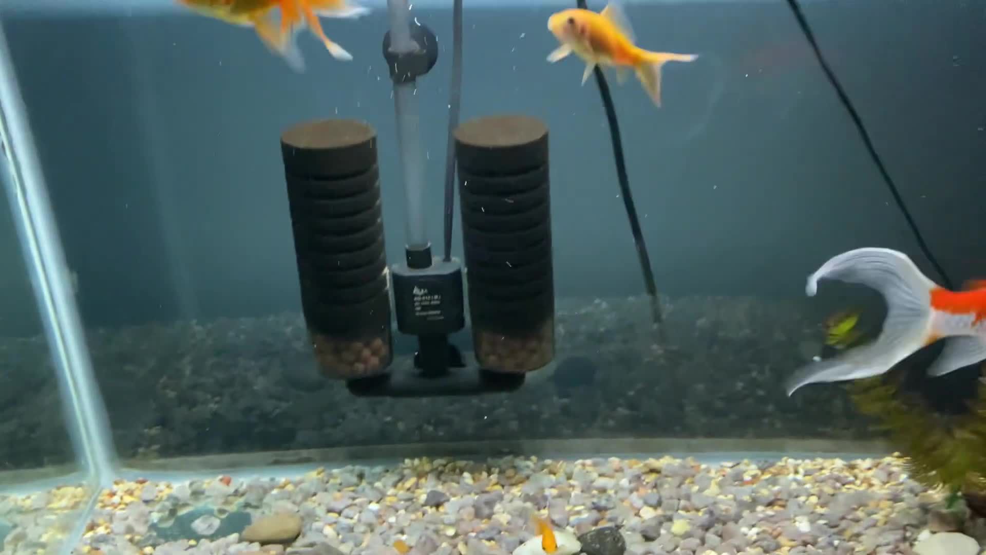 Close-up of the Aqqa sponge filter box and packaging