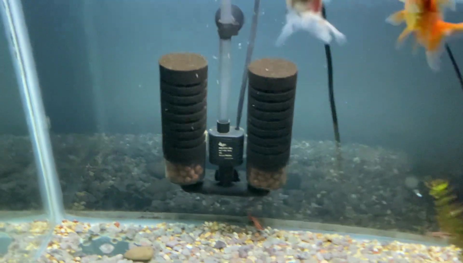 Shot of the aquarium water looking clear