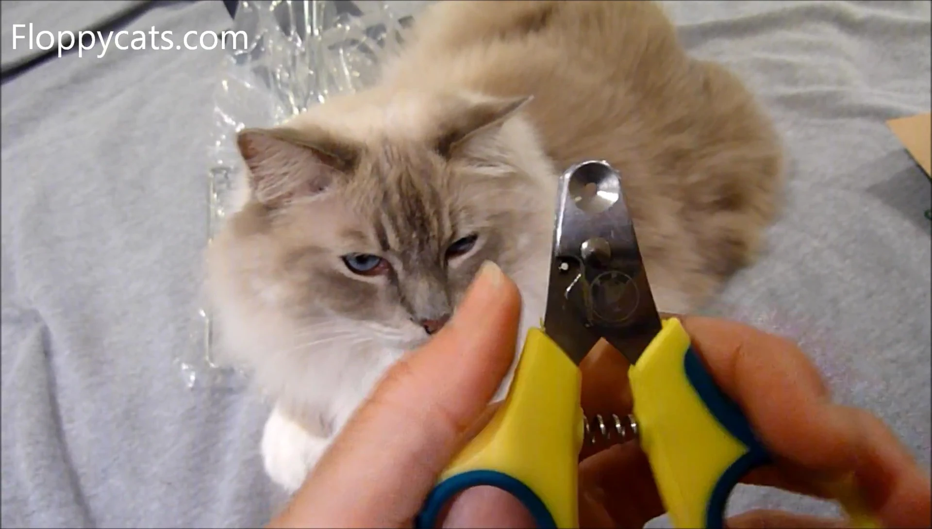 The reviewer demonstrating the mechanism of the Zen Clippers.