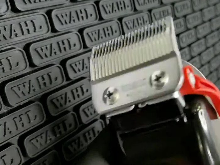 Remove screws and air filter to access clipper blades.