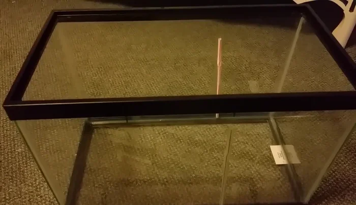 Let the sealant cure for approximately 24 hours undisturbed.