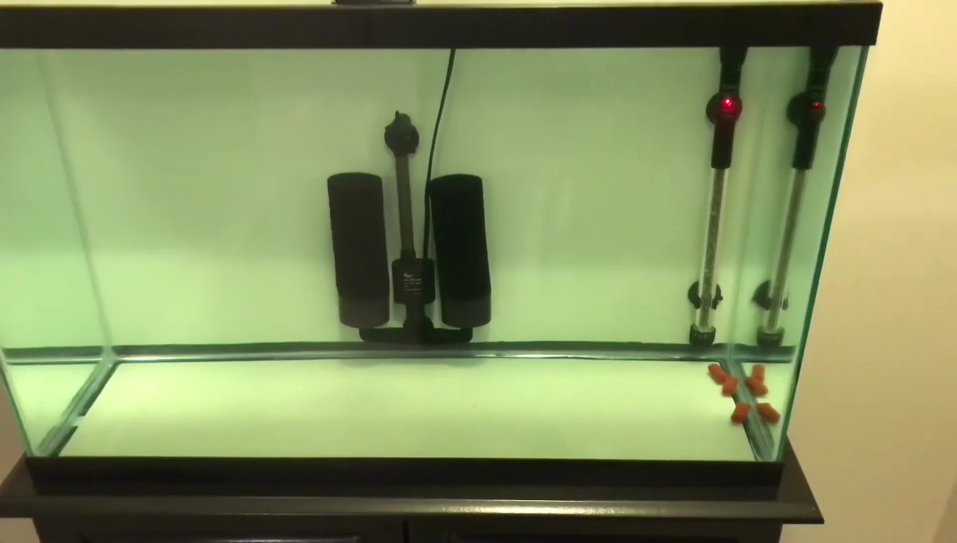 The filter installed in an aquarium.