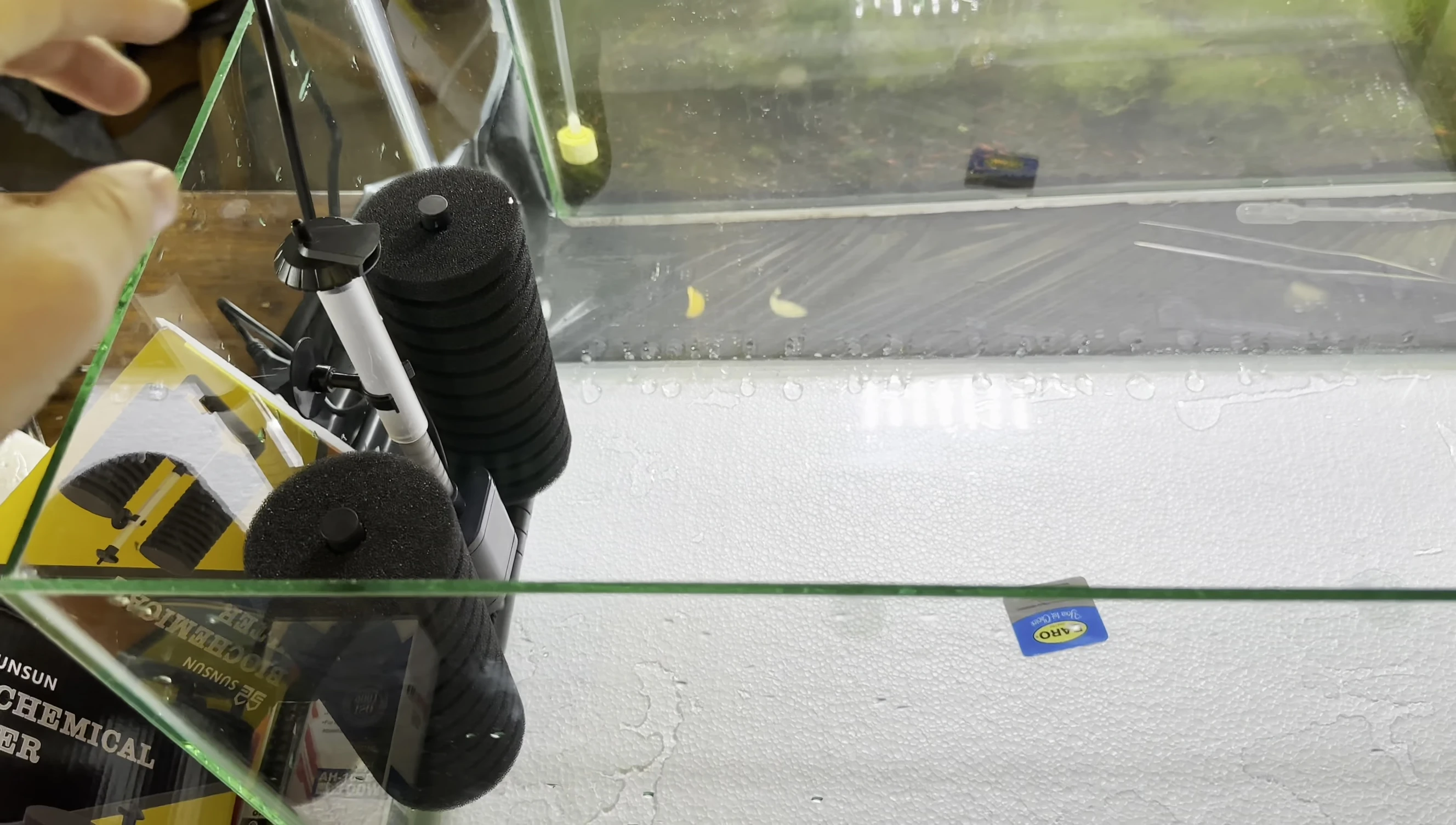 Filter placement near the water surface.