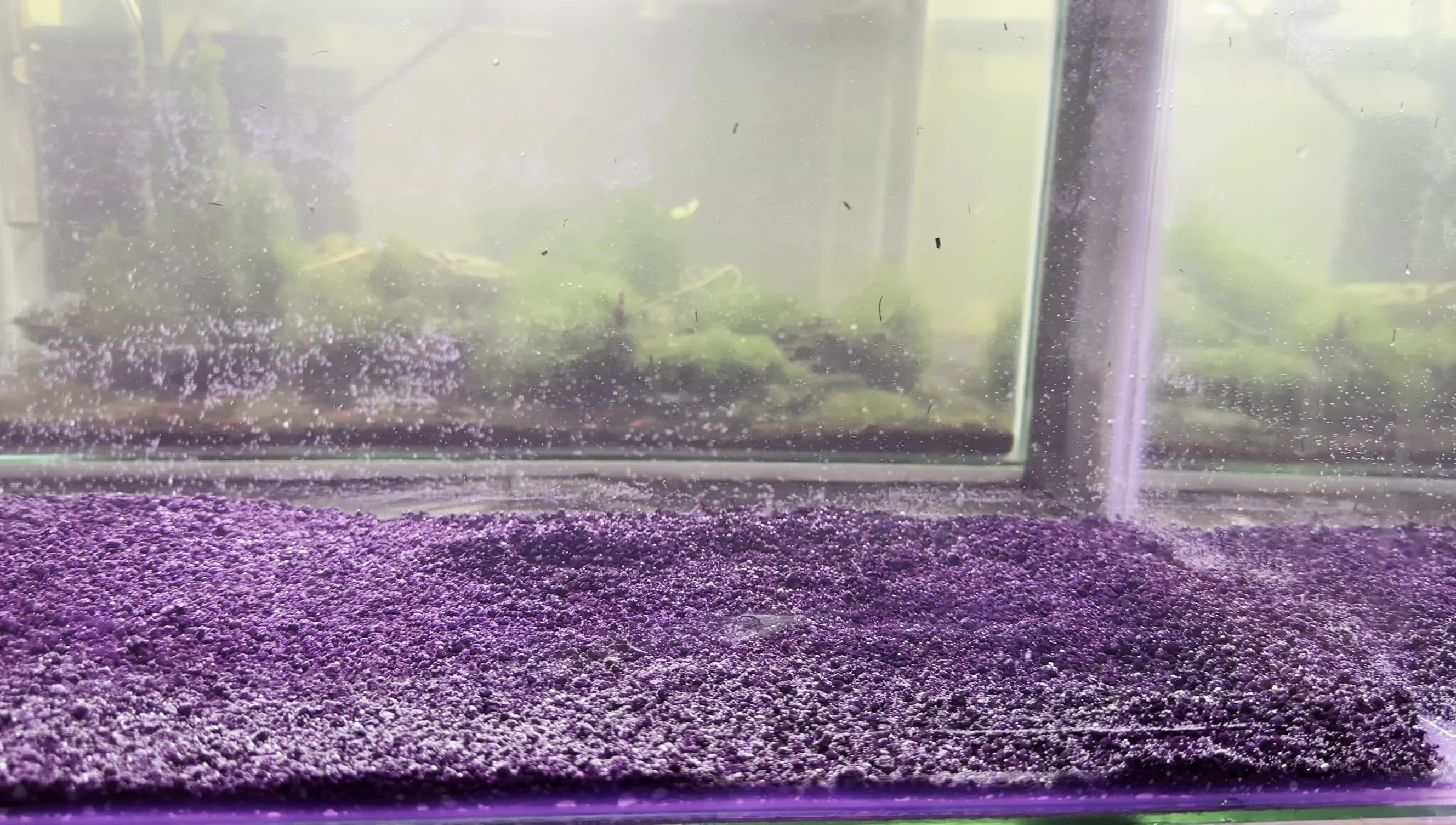 Demonstration of water flow in the aquarium.