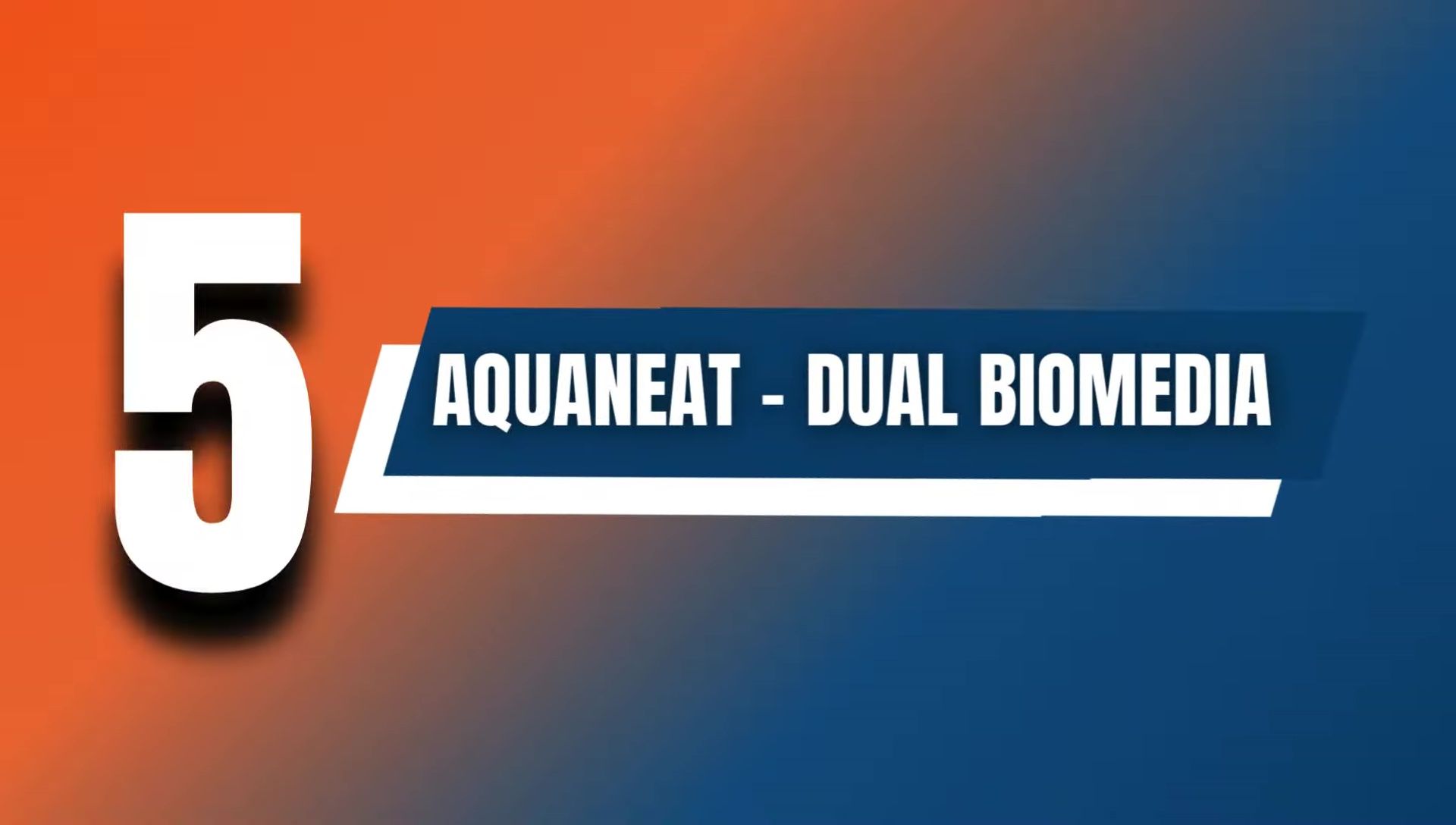 Aquanet Sponge Filter