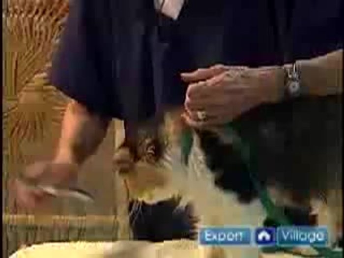 If you cannot see the nail clearly, do not attempt to cut.