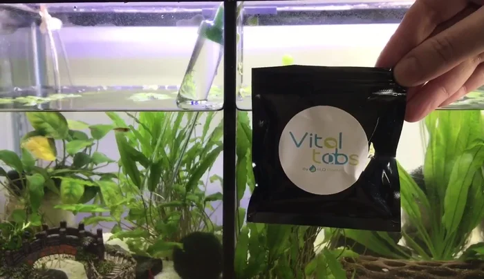 Add root tabs to the substrate near the roots of root-feeding plants. Bury them deeply to prevent them from floating back up.