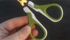 Best Cat Nail Clippers 2025: A Comprehensive Review