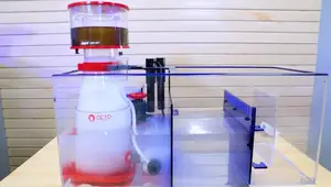 Saltwater Aquarium Setup: Top 10 Beginner Tips for Success