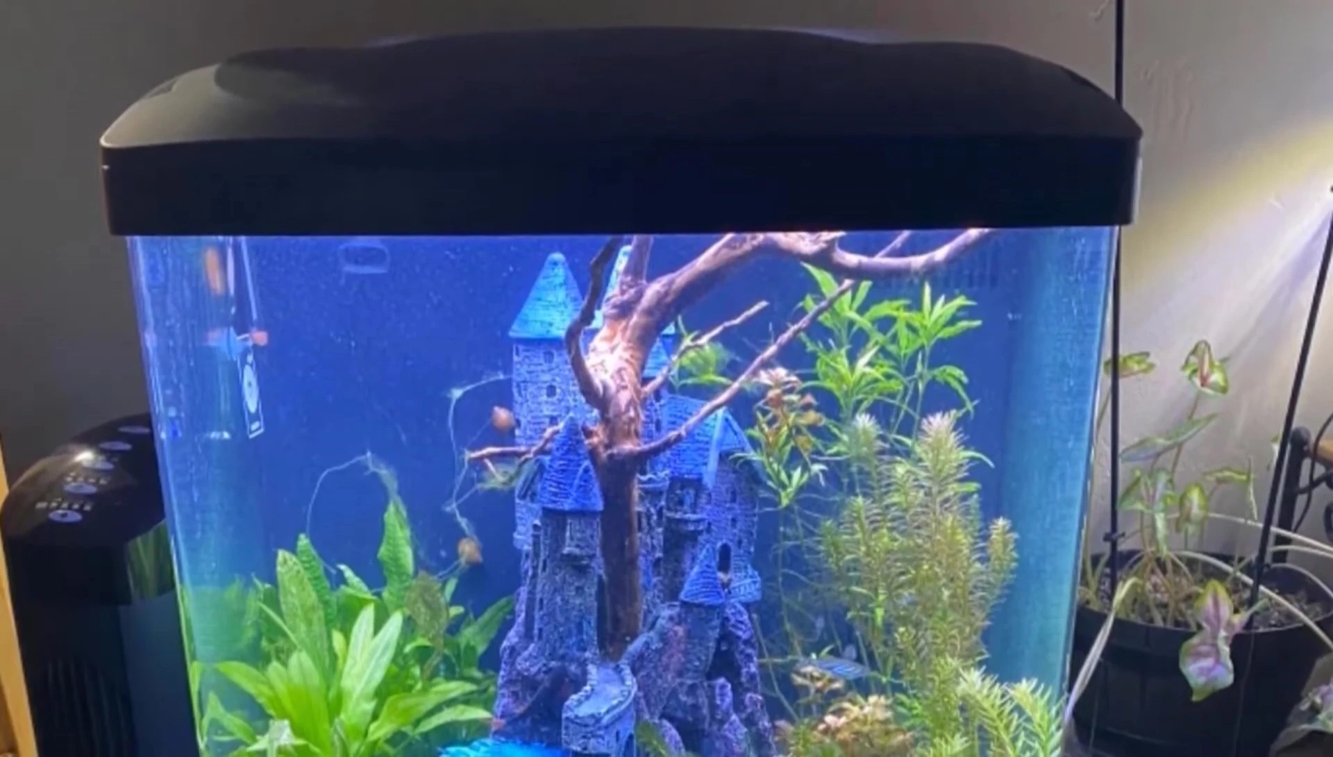 Biocube Stand and Tank Construction