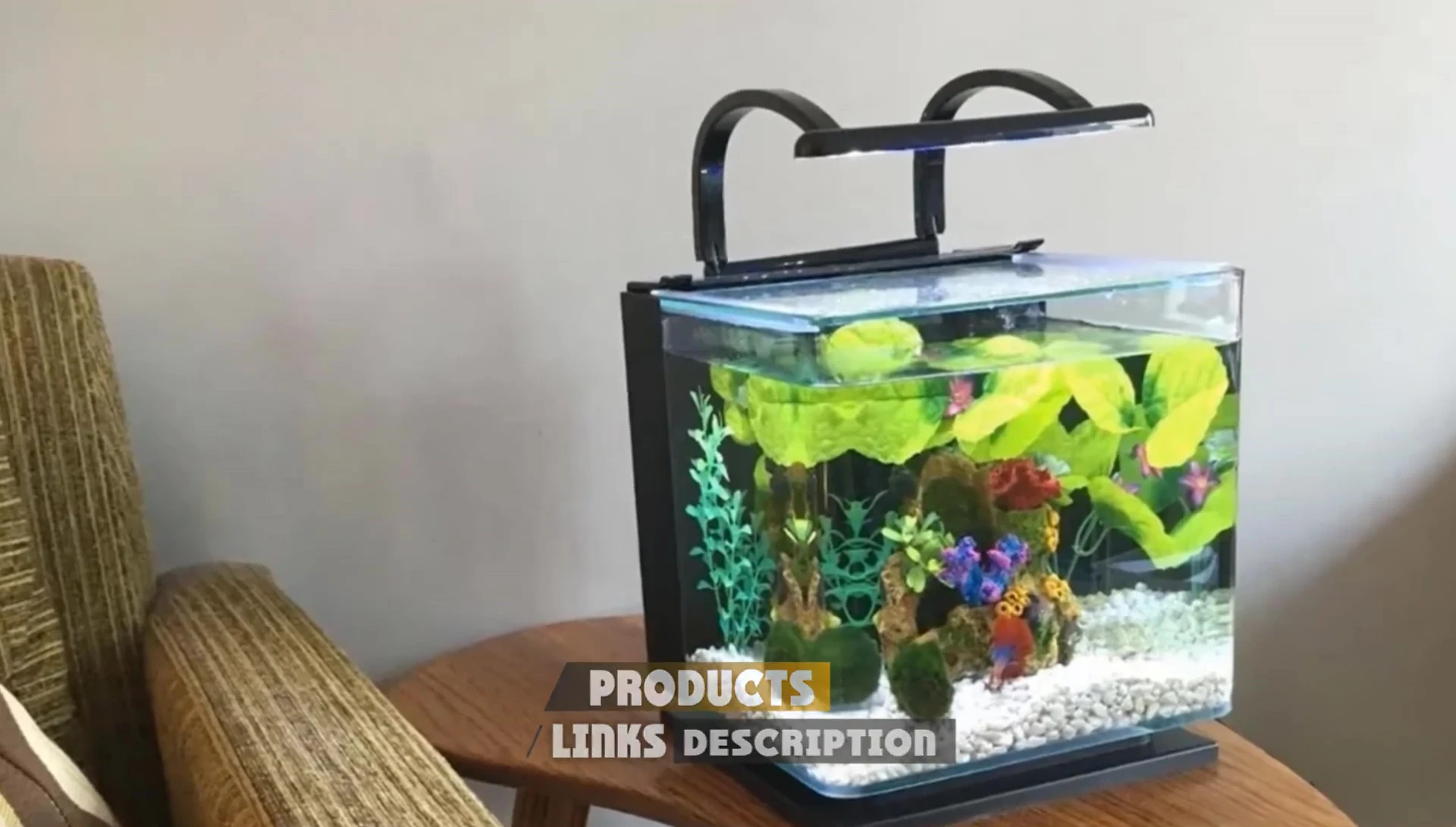 Marineland Aquarium Features