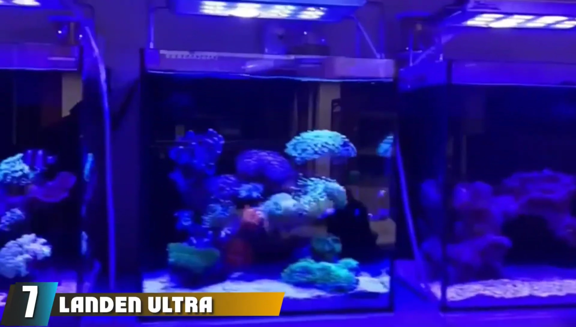Aqueon Ultra Clear Rimless Fish Tank