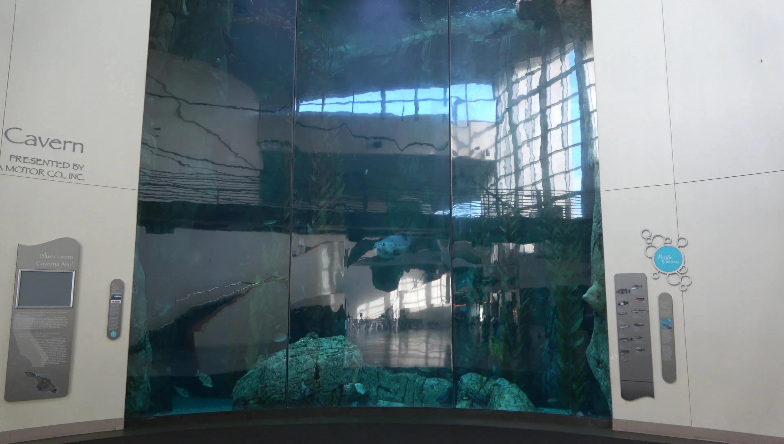 The Blue Cavern enclosure