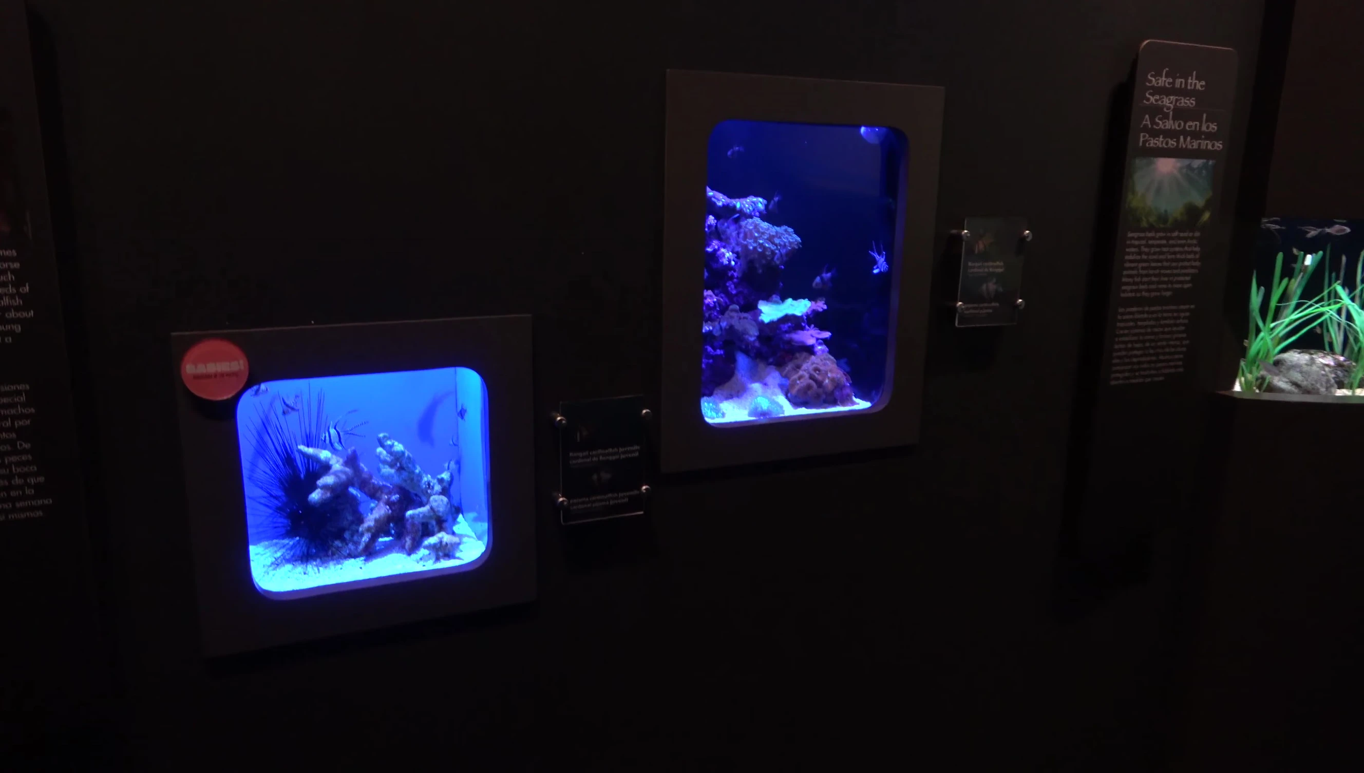 Smaller enclosures with diverse marine life