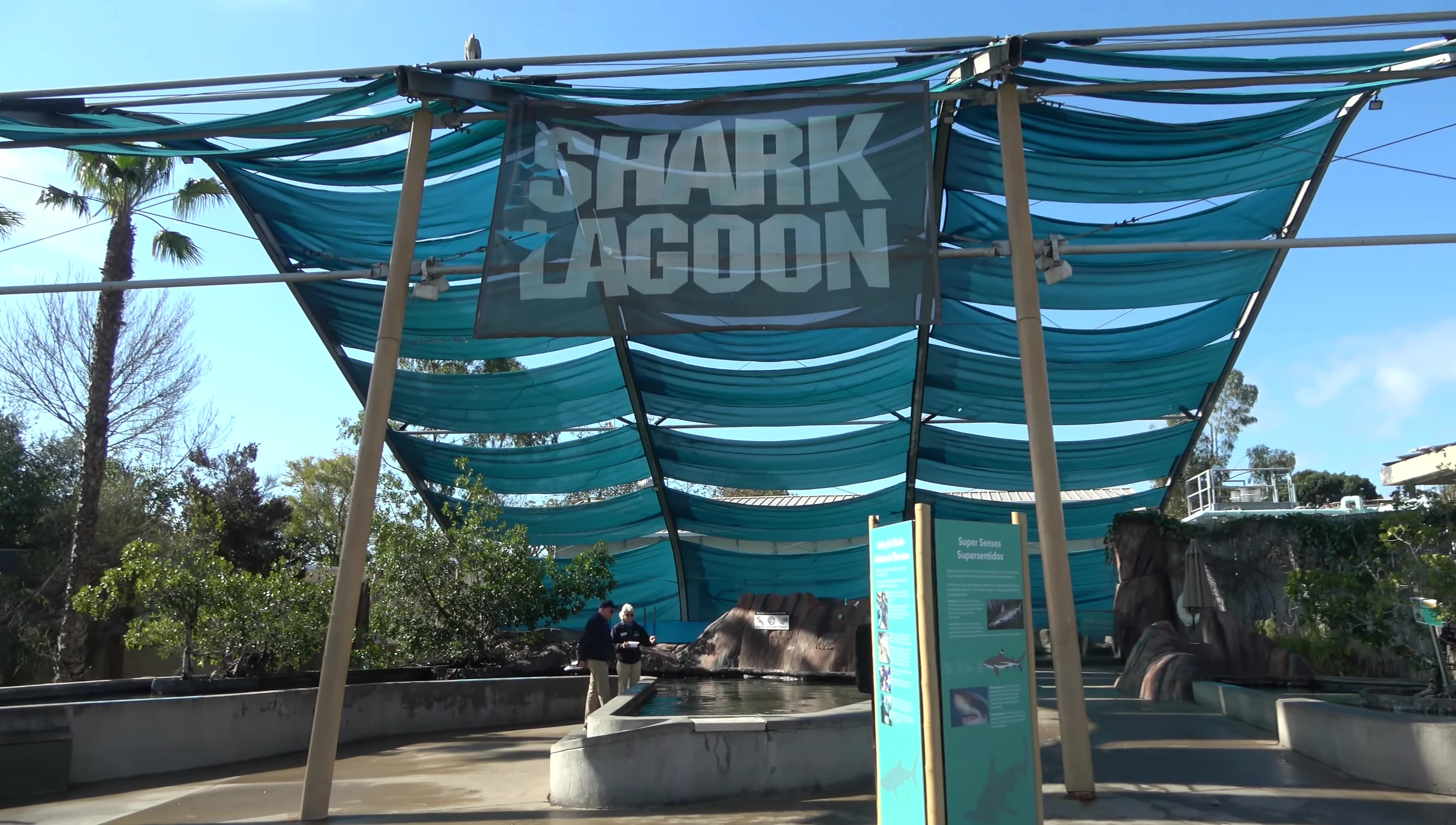 Shark Lagoon touch tank
