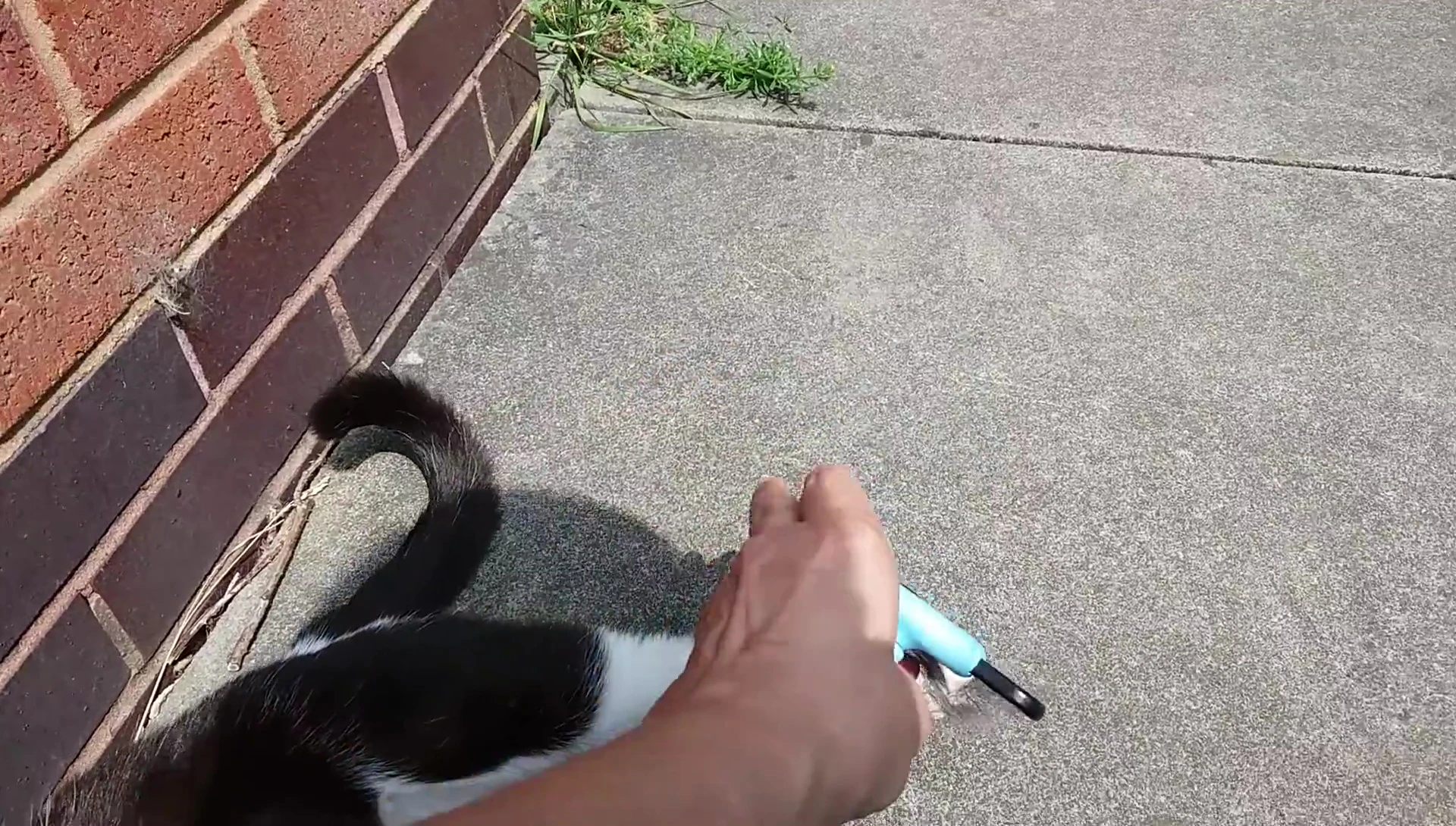 Demonstrating the quick-release system