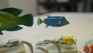Aquarium Fish Figurines Review: Coral Reef & Fossil Fish Sets