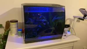 Fluval Flex Light Replacement: A Quick & Easy Guide