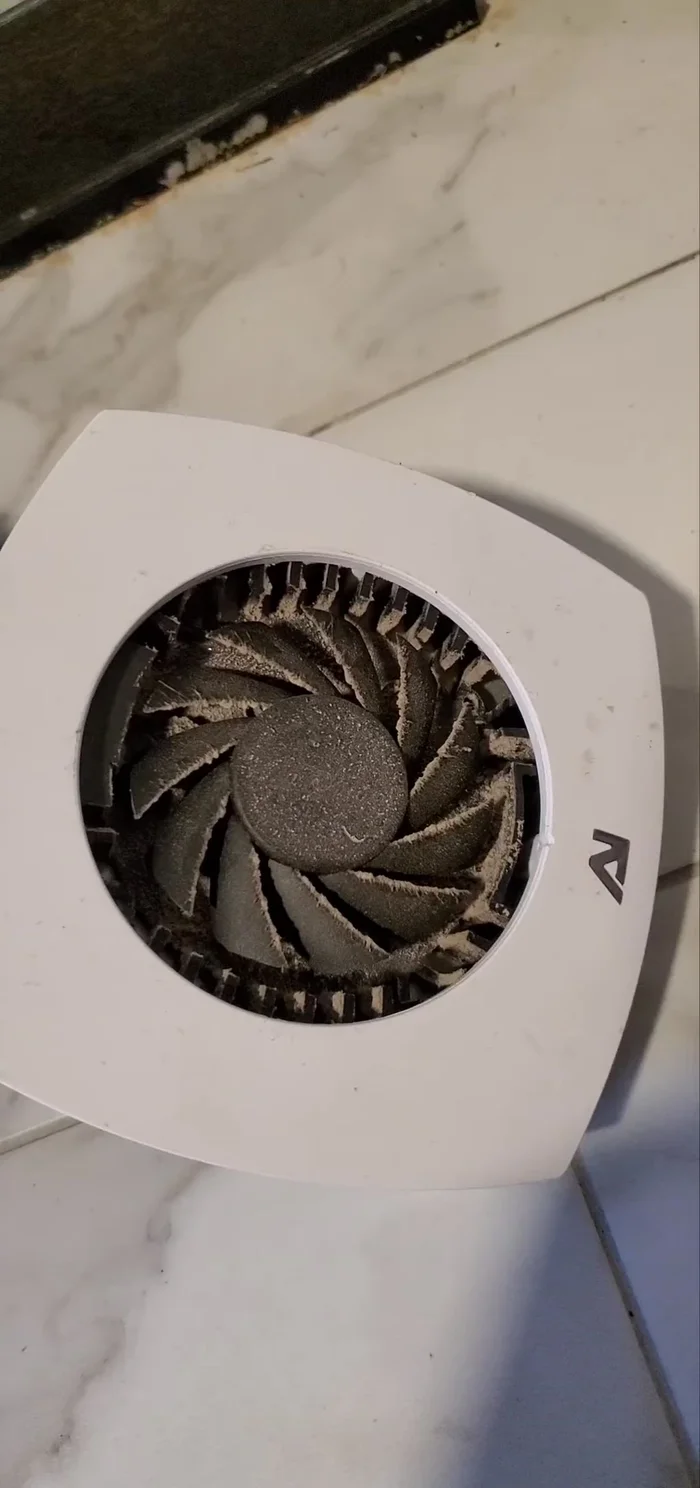 Optionally, use compressed air to blow out dust through the top of the light.