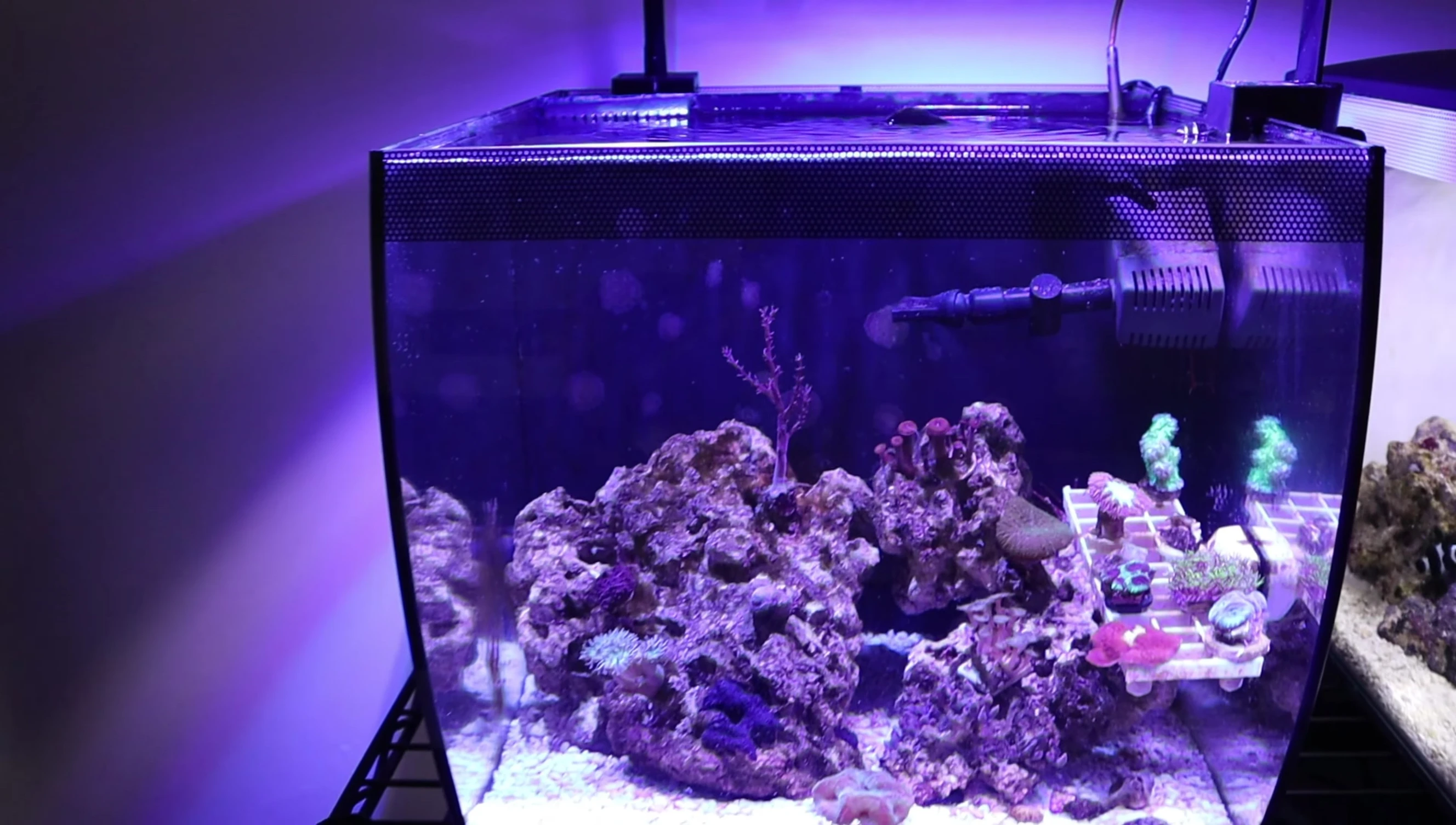 Tank overview highlighting the size and arrangement