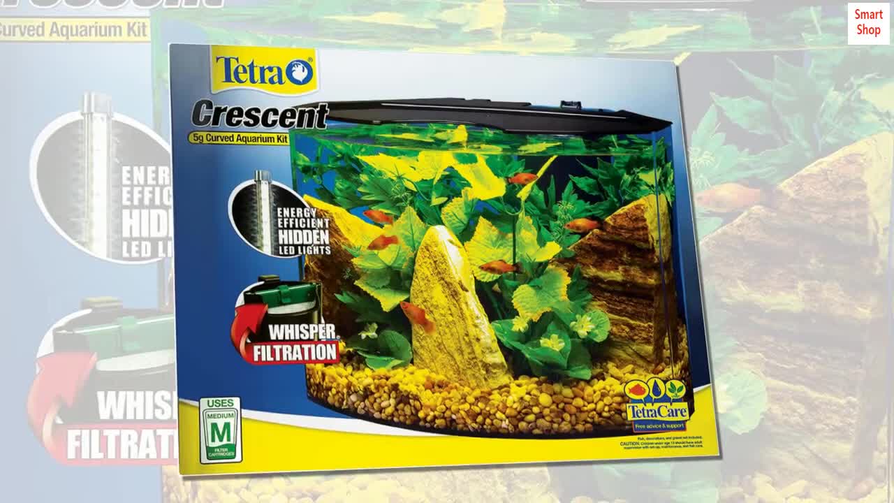 A curved-front aquarium kit