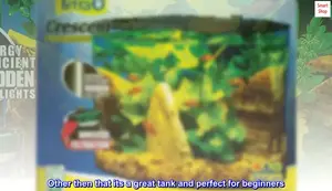 Tetra Aquarium Kit Review: Crescent 5 Gallon Fish Tank