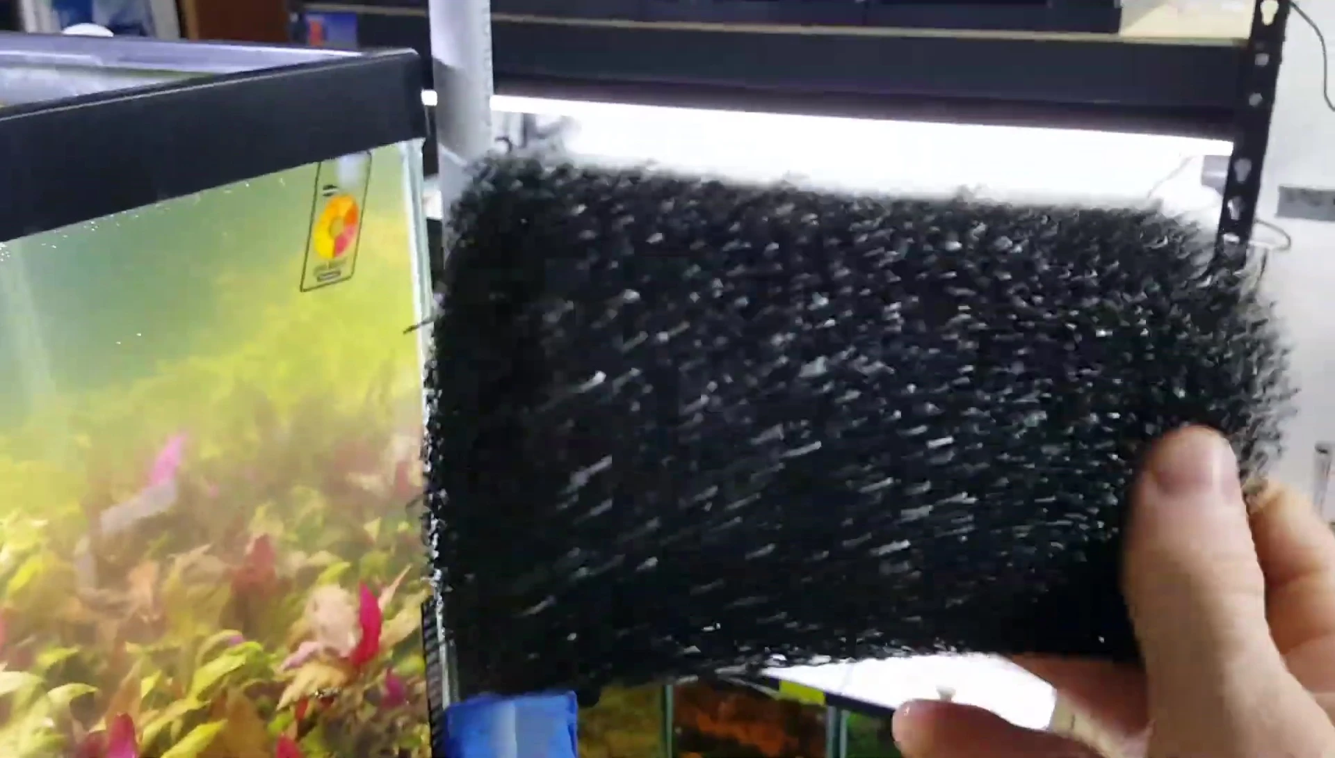 Close-up showcasing the open-cell structure of the sponge.