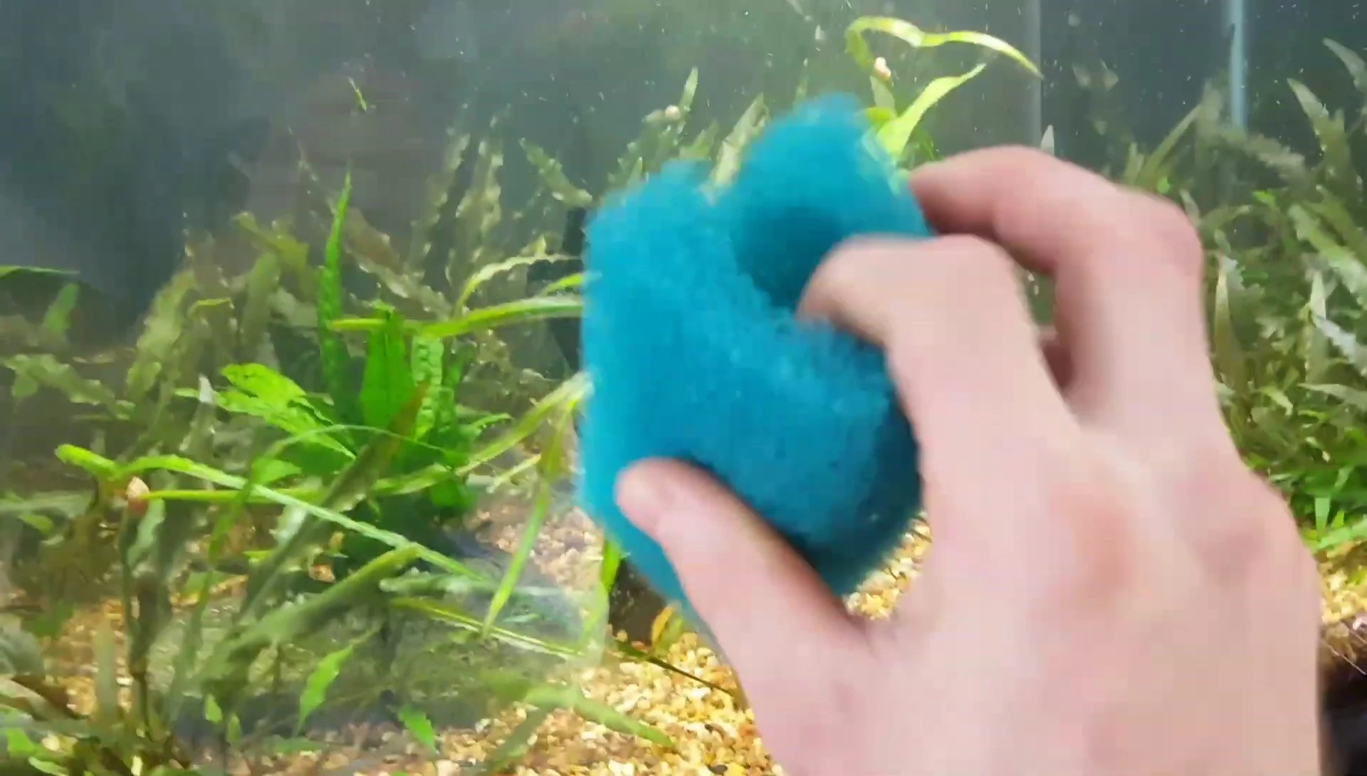 Top Fin sponge stretched onto a Marineland filter intake.