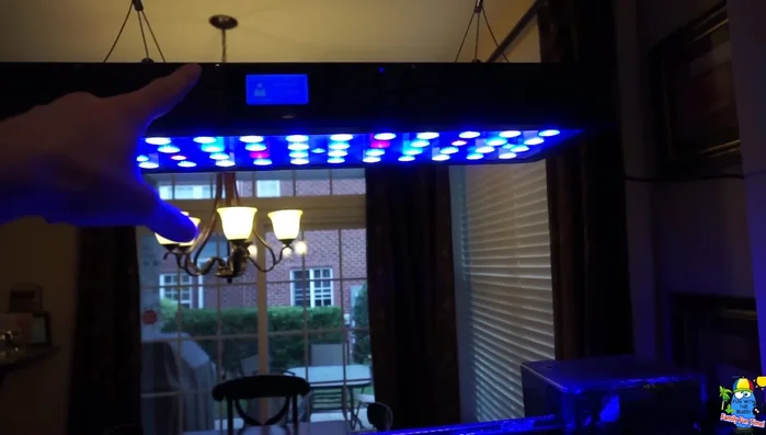 Set up LED lighting (essential for corals).