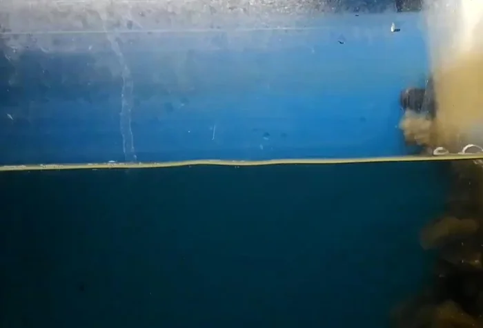 Replace the filter. Put the cleaned filter back into your aquarium.